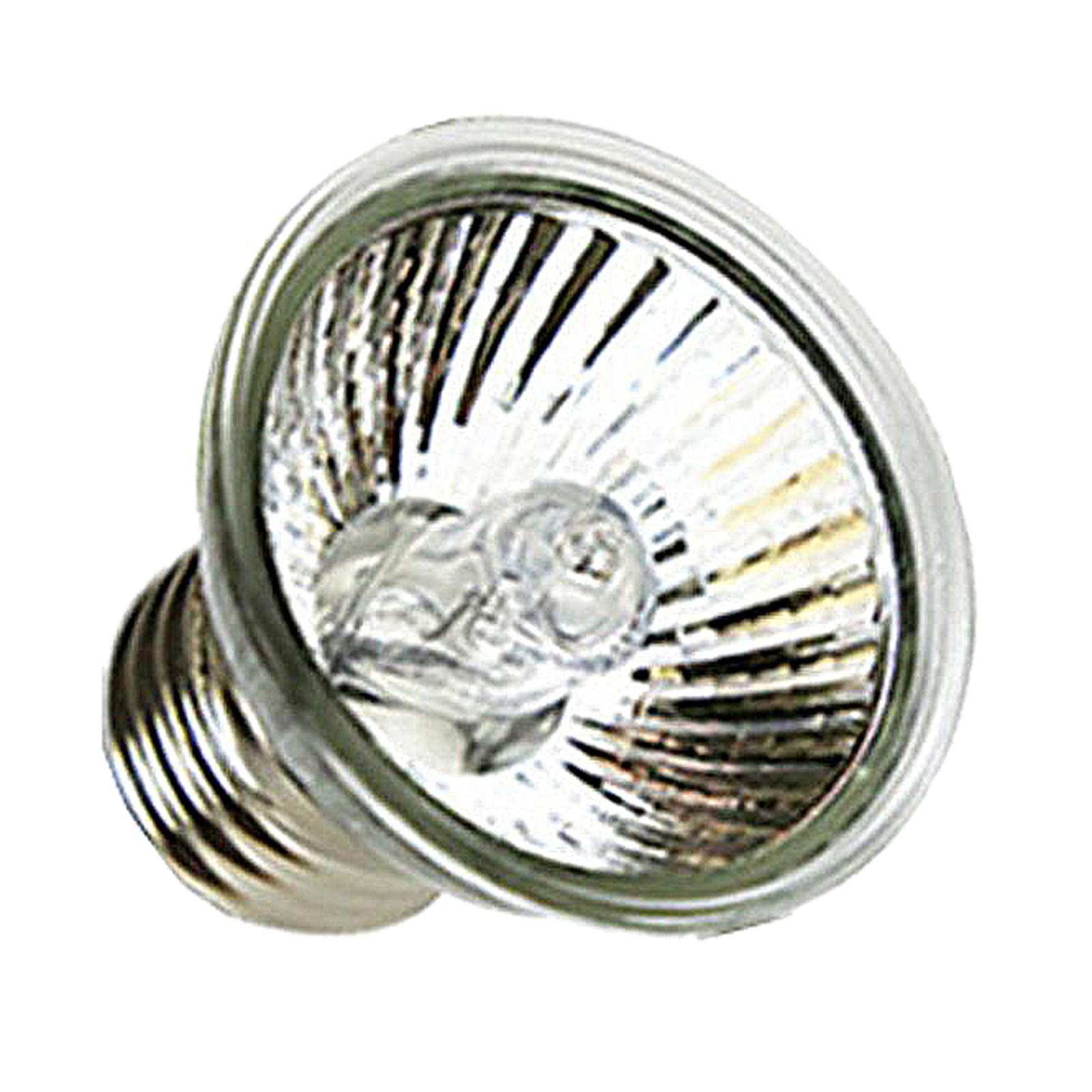 UVA UVB Sürüngen Isıtma Lambas - Basking Bulb Halogen incelemesi ve fiyatı
